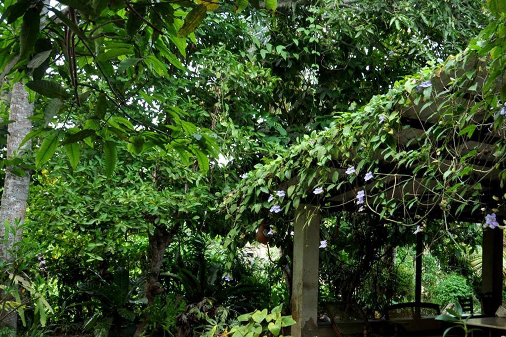 Green Corridor - Ahangama Eksteriør bilde